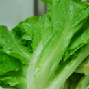 8个吃蔬菜误区你占几个? 菜做好了不马上吃