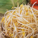 七种有毒蔬菜最伤肝 新鲜黄花菜引发中毒