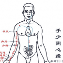 按摩九个经络全身排毒 按肺经使皮肤润滑