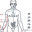 经络养生 九个小秘诀帮助经络排毒