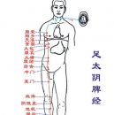 如何调养女人气血 中医教你12经络补气血