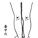 按摩五穴位全身保健 委中穴舒筋通络