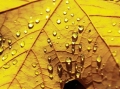 秋雨后三部位受凉后患无穷