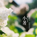 2015小暑是几月几日 小暑是什么意思