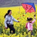 清明节保健注意五防 爬山运动量大巧克力可缓解