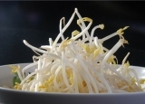 吃豆芽防治的五种常见病