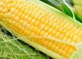 吃玉米也有这些讲究 不同颜色功效不尽相同