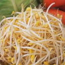 最适合冬季吃的十种蔬菜 预防疾病超有效