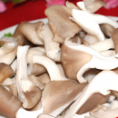 12种蔬菜养肝护肝 常食百合可防治肝硬化