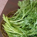 多吃菠菜有效降压 细数六大降压蔬菜