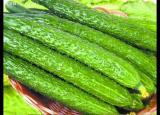 夏季吃这些食物  既控油又养生