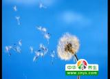 冬天晚上睡觉脚冷 六种方法改善