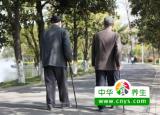 不同体质老人的散步方式 一定要对号入座