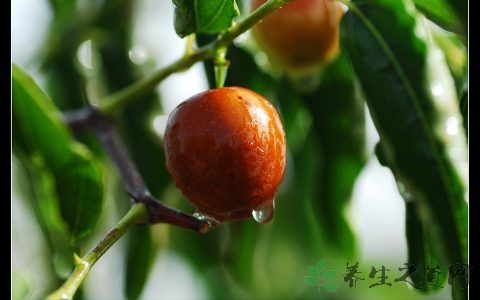 冬季吃什么零食