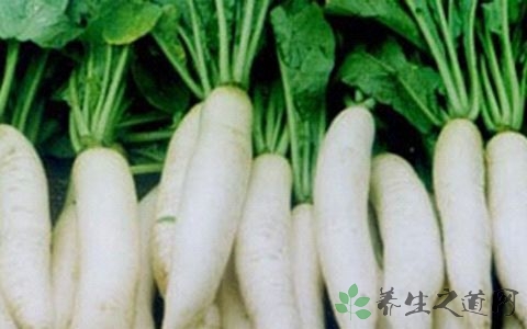 冬季吃什么蔬菜