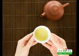 你喝对茶了吗 分享六个常见喝茶误区