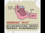 肾好才是硬道理 日常保护肾脏的方法